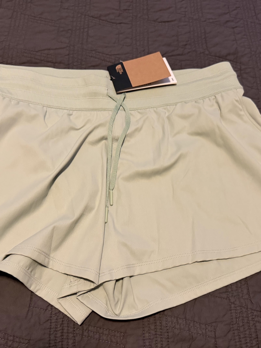 The North Face Light Sage Drawstring Shorts
